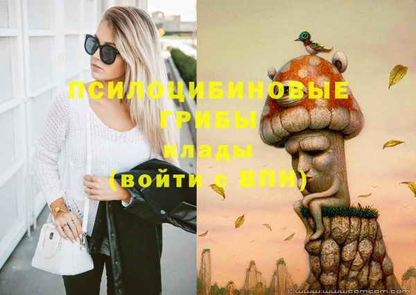 соль ск Алзамай