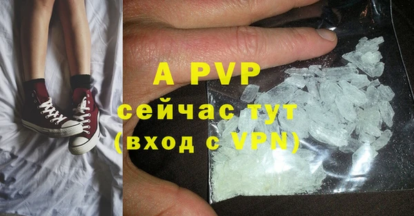 стаф Алексеевка