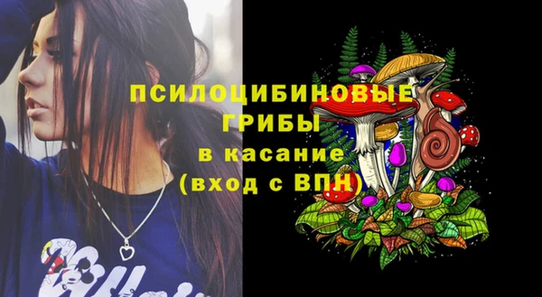 мяу мяу мука Арсеньев
