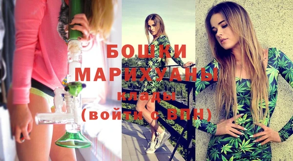 сатива Аркадак