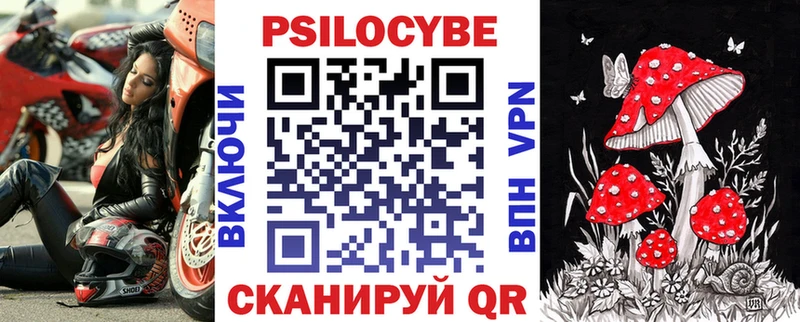 цена Курганинск Галлюциногенные грибы Psilocybe